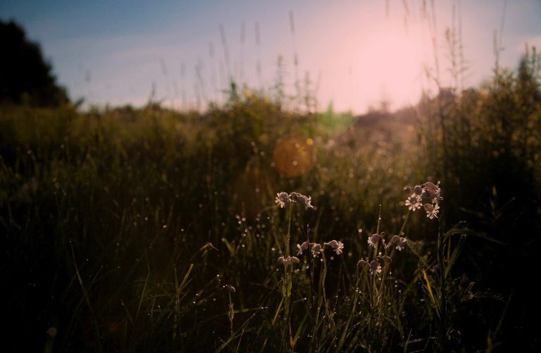 بتكلفة تصل إلى 7 مليارات دولار.. هل يحقق “إكسبو 2020 دبي” أهدافه …